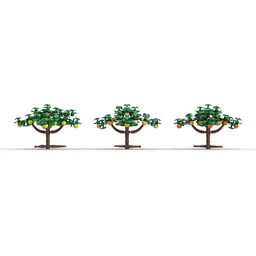 Citrus Trees