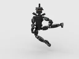 Ninja