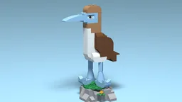 11041 Blue Footed Booby