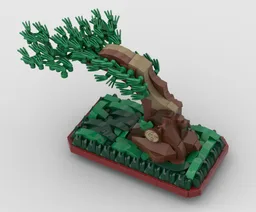 Bonsai pine in “fukinagashi” (windswept) style.