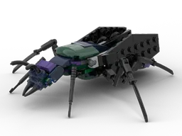 Cuckoo Wasp (Chrysis genus)