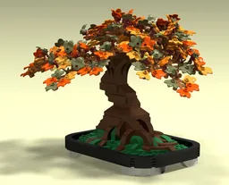 Leafy rooted bonsai in autumn