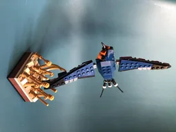 Barn Swallow