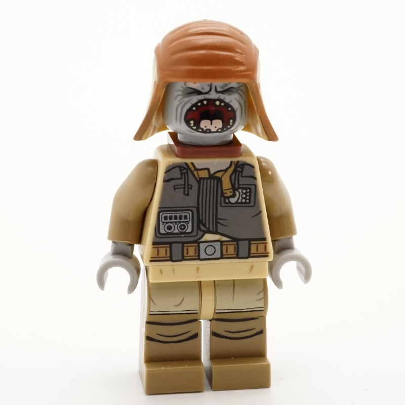 Lego Pao