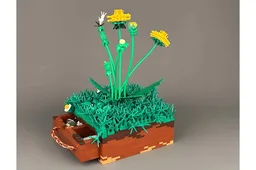 Dandelion