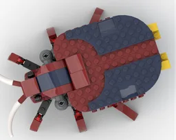 31102 beetle
