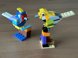 10696 Birds