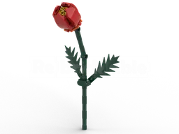 Tulip