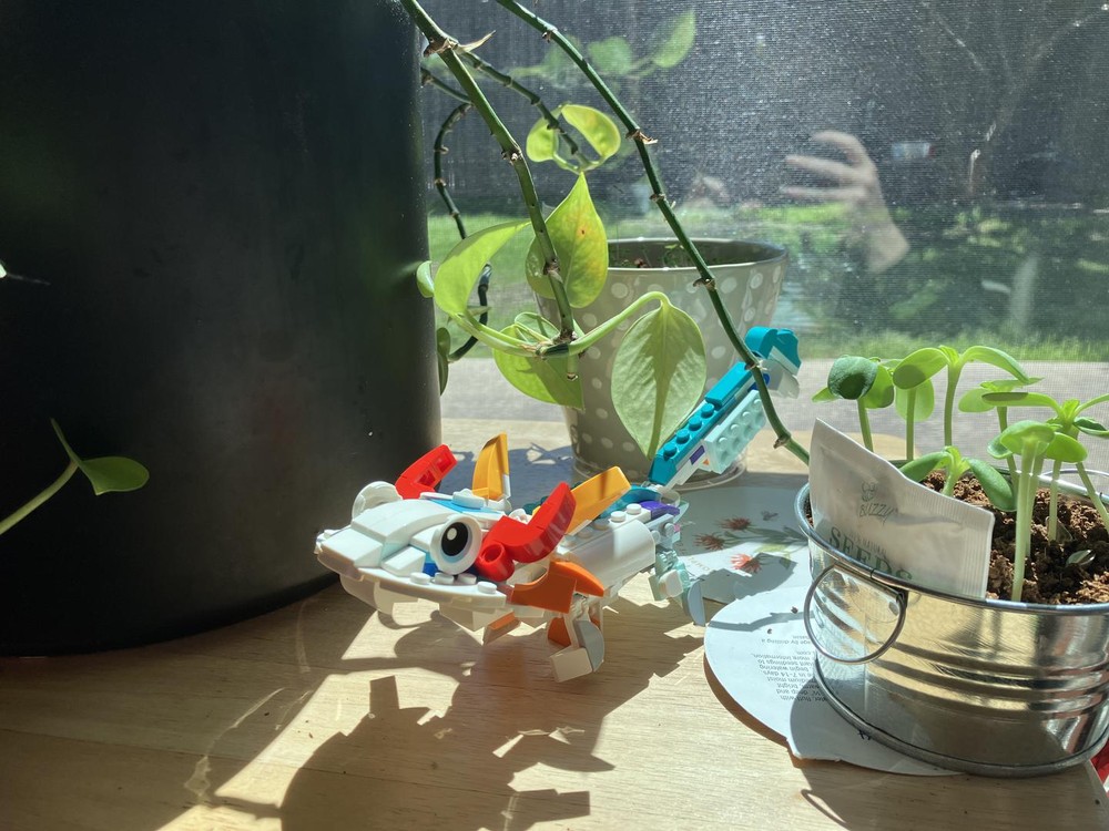 Lego 31140 - Axolotl