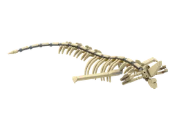 Reaper Leviathan Skeleton