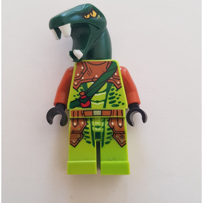 Lego Zoltar