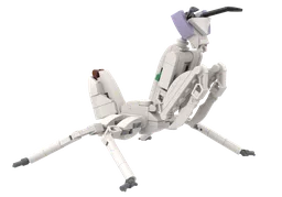 Orchid Mantis (Hymenopus coronatus): The Insect Collection