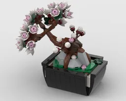 BOTA-02 Cherry Blossom – White Version