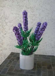 Lavender (BT021)