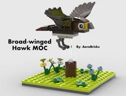 Broad-winged Hawk MOC
