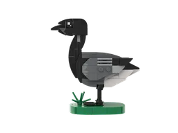 Brent goose