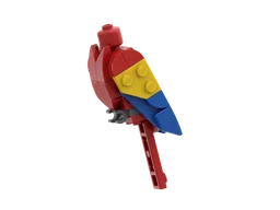 Scarlet Macaw body