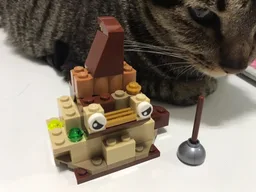 Mysterious Object