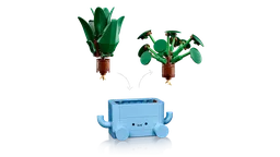 Happy Plants