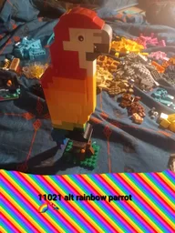 11021 Rainbow parrot