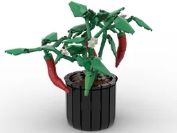 Chili Plant