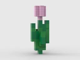 MC Pink Tulip