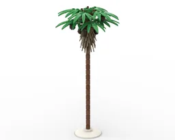 Palm Tree