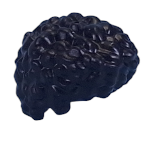 Lego Hair Short Curly, Flattened / Black