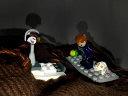 75160-Pilot's grave