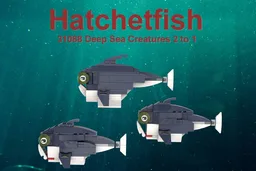 Hatchetfish 31088 2 to 1