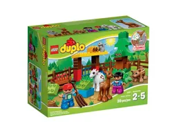 Forest: Animals