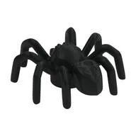 Insect, Spider with Elongated Tail Section