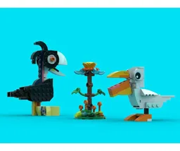 Garden Birds