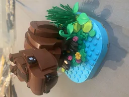 Capybara Model