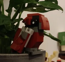 Red Parrot
