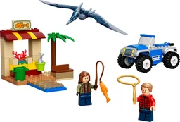 Pteranodon Chase