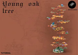 Young oak tree