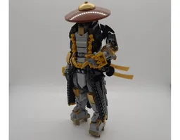 The Ronin Noir