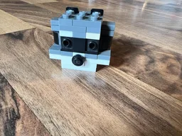 Raccoon (Head)