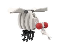 09 Drosophila melanogaster