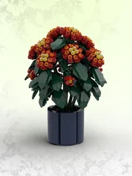Lantanas (BT 016)