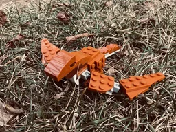 A Dragon
