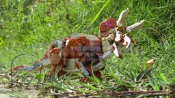 31150 Triceratops horridus 1:32 scale
