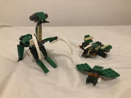 Praying Mantis - Big Beetle - Small beetle