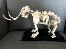 Mammoth fossil