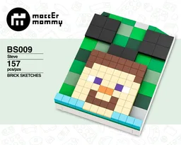 Steve - Creeper - Brick Skeches