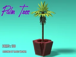 Palm Tree in a Pot