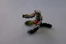 Lizard