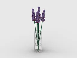 Lavender Flower