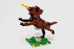 Frisbee Dog